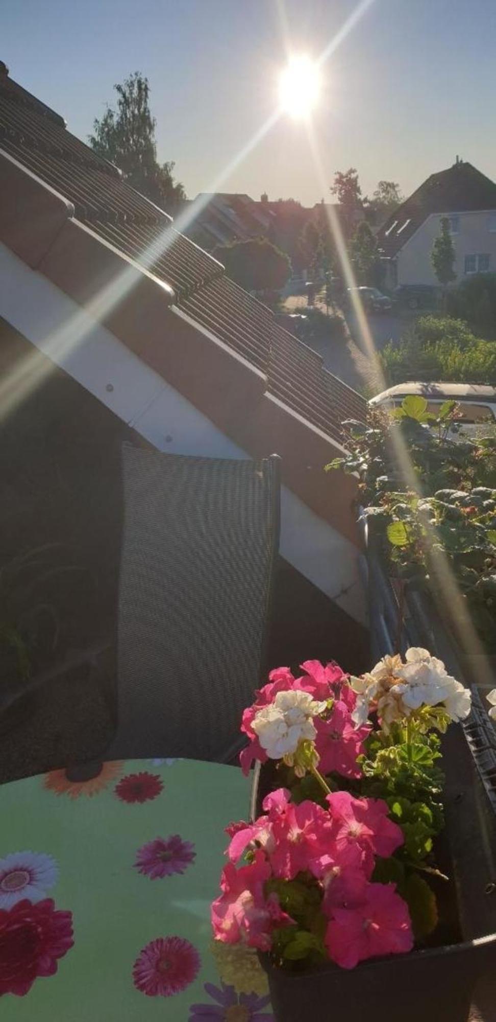 Ferienwohnung in Radeberg bei Dresden Exterior foto